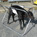 Calf Carrier Replacement PVC Sling