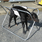 Calf Carrier Replacement PVC Sling